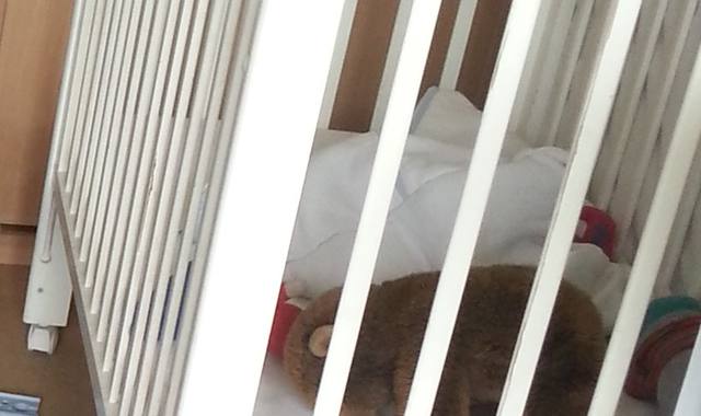 Literie lit bébé d'occasion (environ 10 ans d'âge, bon état).