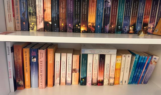 Livres-Revues livres, revues et plusieurs romans