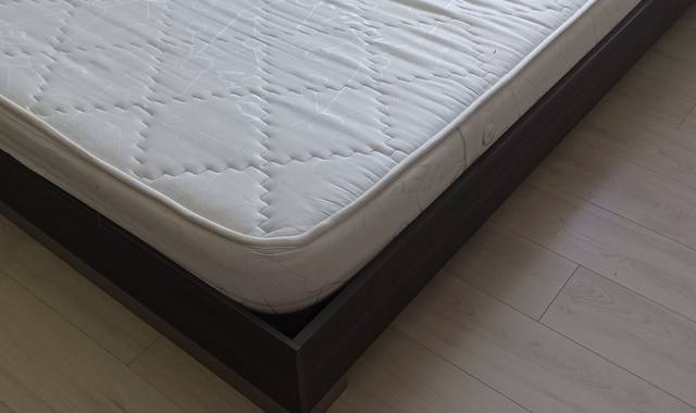 Literie de MATELAS 2 places - pouvant encore bien servir - AUCUNES TACHES