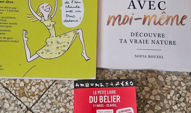 Livres-Revues livres divers
