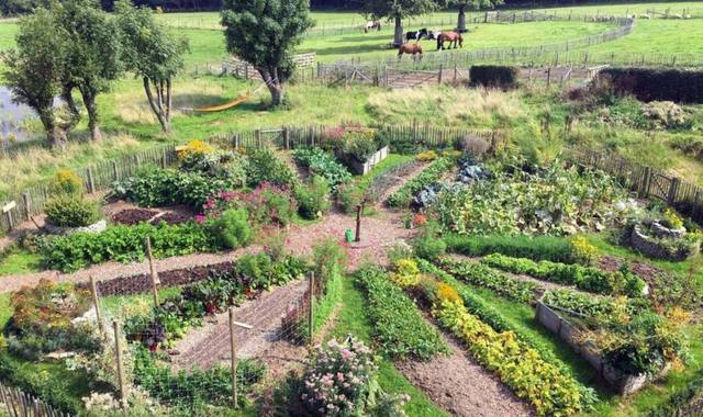 Livres-Revues 3 livres sur la permaculture