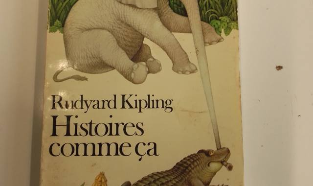 Livres-Revues deux livre de poche