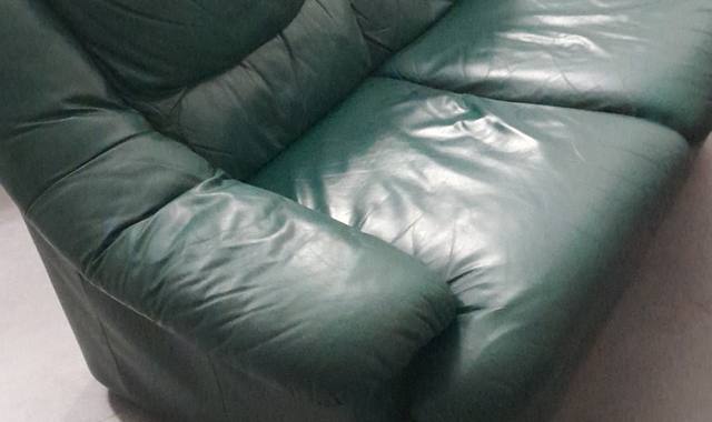 Meubles salon en cuir vert - URGENT