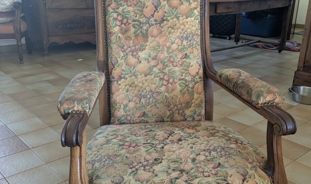 Meubles deux fauteuils