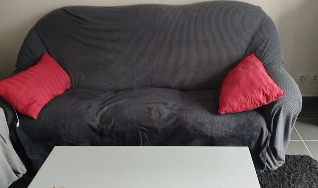 Meubles deux canapés