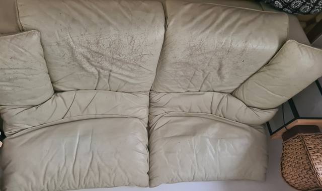 Meubles canapé et fauteuil cuir