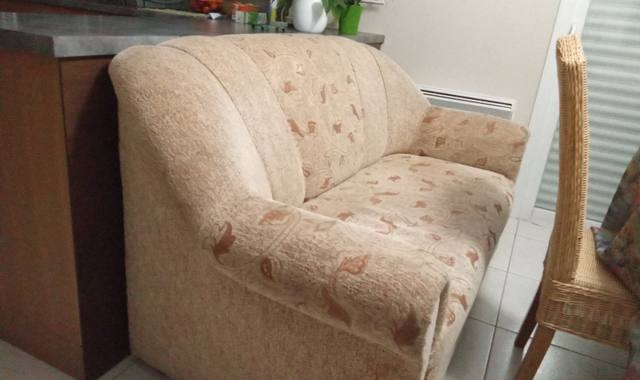 Meubles deux canapés et un fauteuil