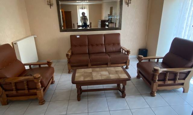 Meubles salon cuir convertible