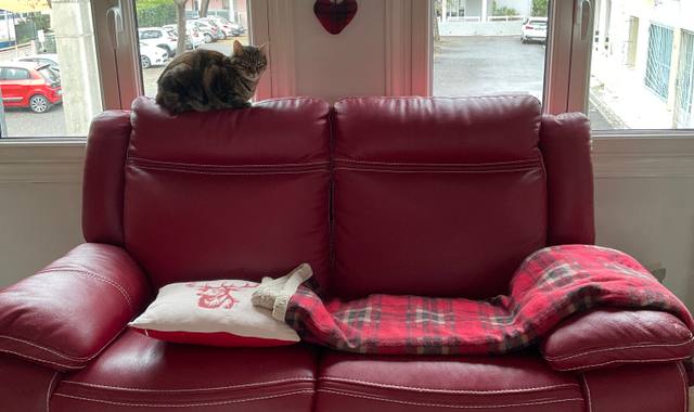 Meubles 2 canapés en cuir rouge