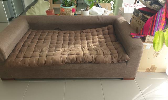 Meubles un canapé marron 3 places