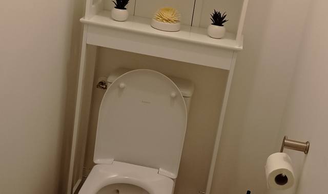 Meubles joli meuble wc en parfait état