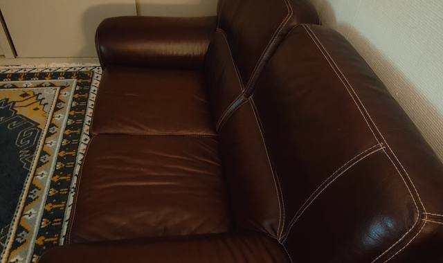 Meubles canapé cuir de buffle