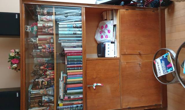 Meubles bibliothèque simple .