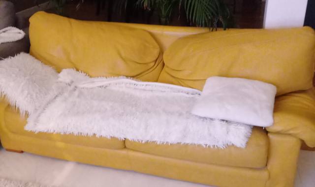 Meubles canapé convertible