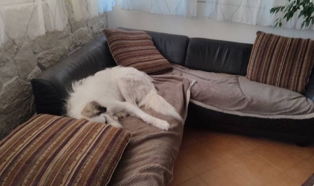 Mobilier canapé d'angle en cuir marron