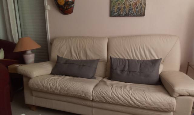 Mobilier canapés droits cuir