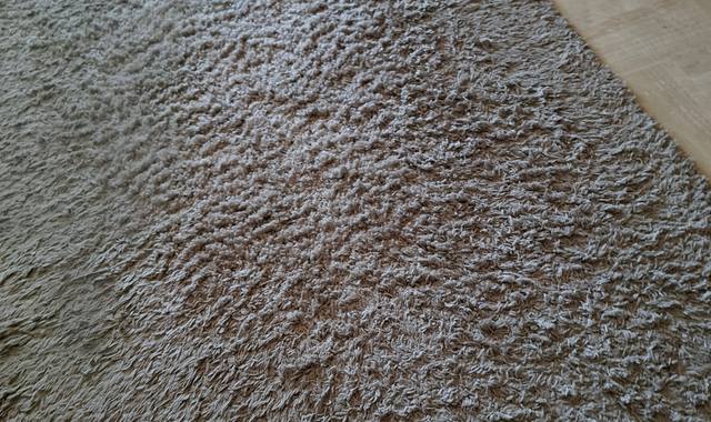 Mobilier tapis beige
