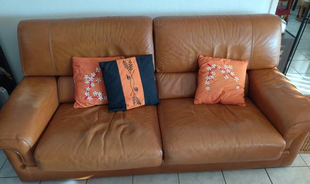 Mobilier canapé et fauteuil