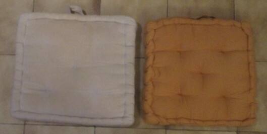 Mobilier deux coussins carrés