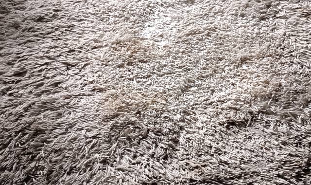 Mobilier tapis Shaggy
