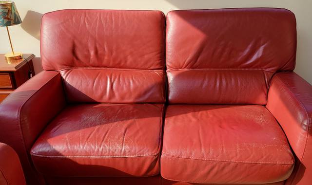 Mobilier canapé cuir 2/3places