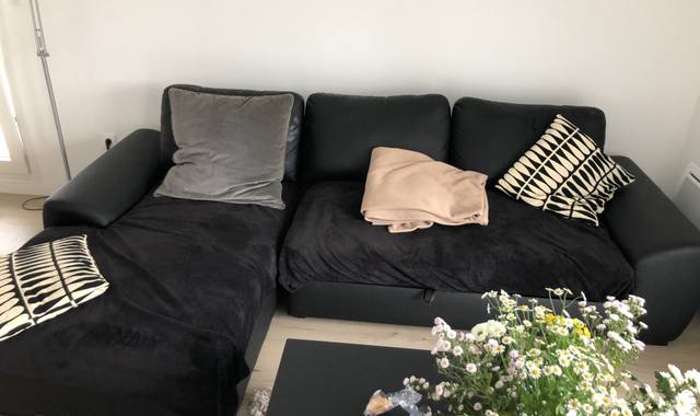 Mobilier Canapé convertible