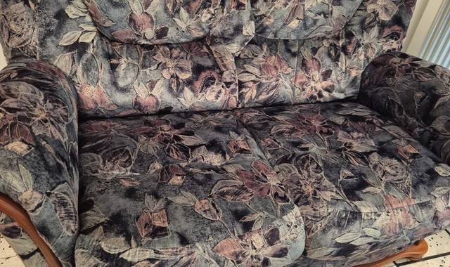 Mobilier deux canapés