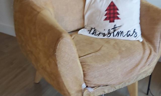 Mobilier 2 fauteuils