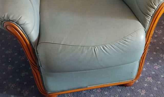 Mobilier 2 fauteuils cuir couleur vert