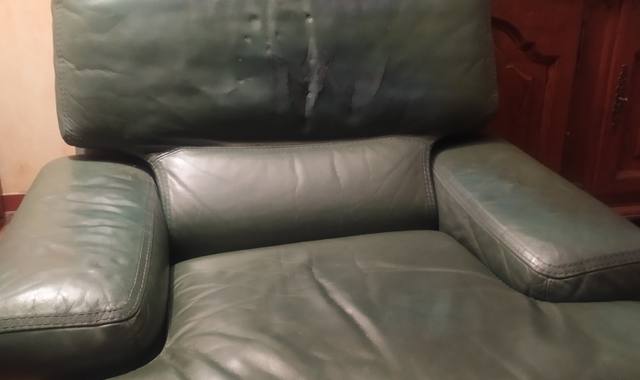 Mobilier fauteuil cuir vert