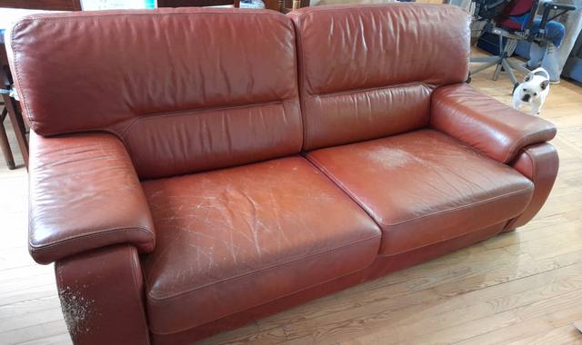 Mobilier canapé cuir