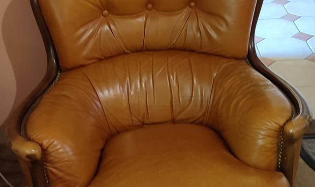 Mobilier fauteuil cuir couleur fauve