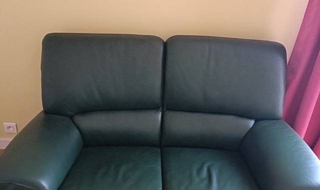 Mobilier canapé 2 places cuir buffle vert