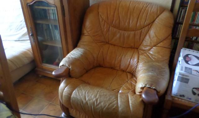 Mobilier fauteuil cuir
