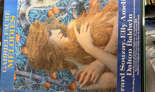 Musique, CD, Vinyle Vinyles Opéra Wagner, Werther et autres...