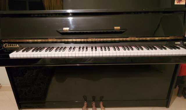 Musique, CD, Vinyle Piano Droit Calisia