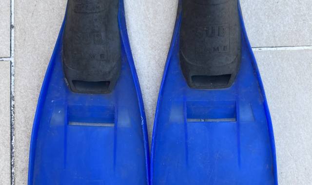 Sport palmes p40-42