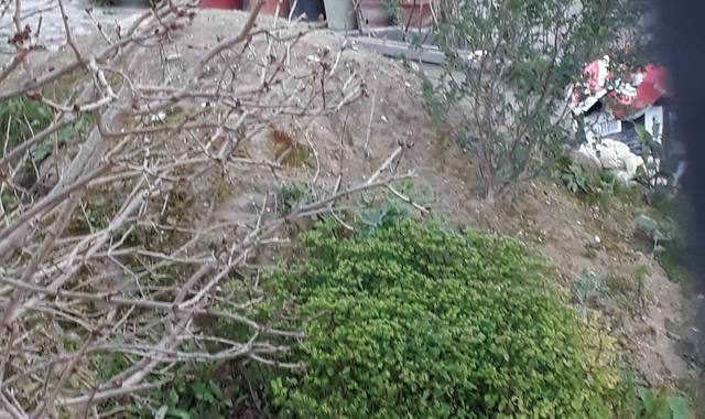 Terre et gravats de la terre, il n'y a pas de cailloux juste de la terre. A récupérer sur M