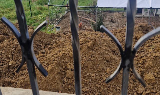 Terre et gravats tres bonne terre vegetale suite a travaux dans mon jardin