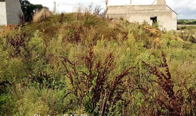 Terre et gravats terre suite terrassement