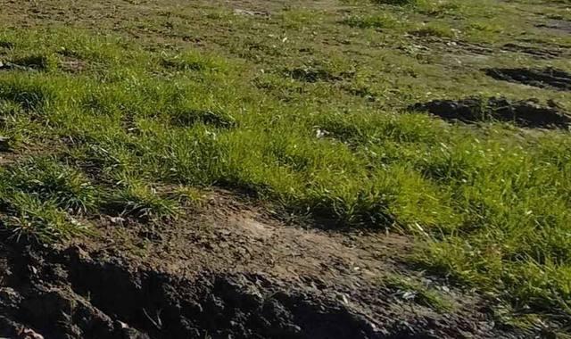 Terre et gravats terre végétale à donner