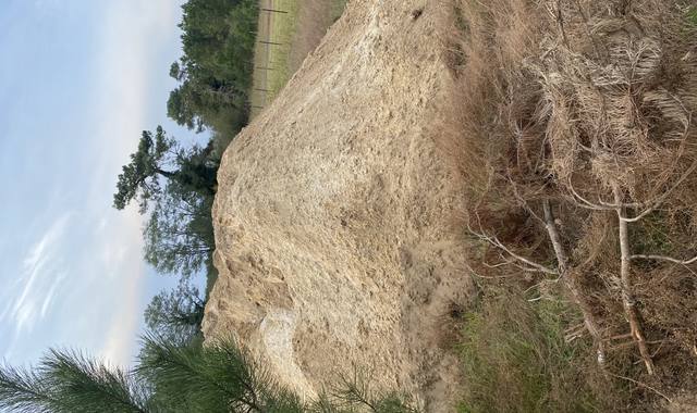 Terre et gravats Terre