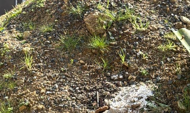 Terre et gravats remblais à donner