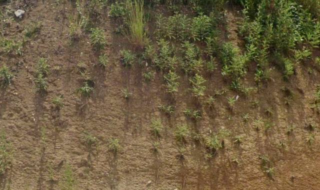 Terre et gravats de terre végétale