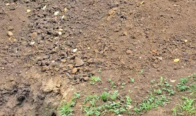 Terre et gravats terre en grande quantité