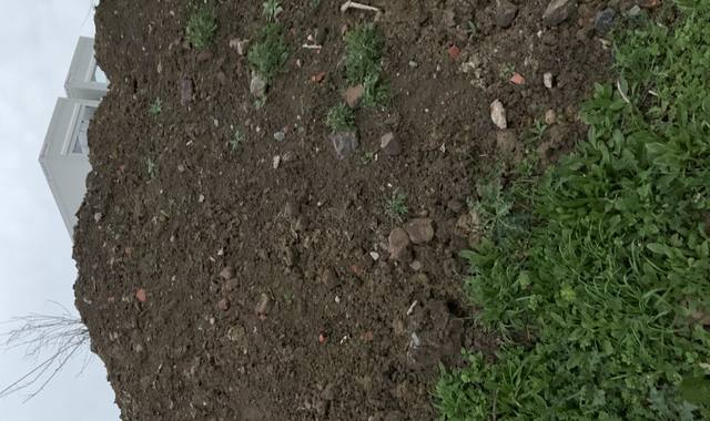 Terre et gravats terre 150m3