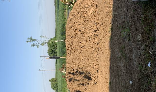 Terre et gravats terre végétale