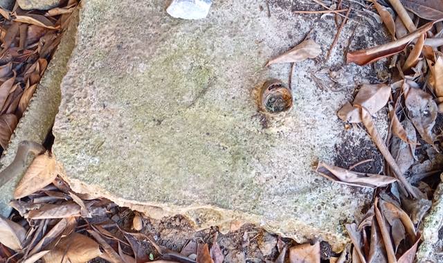 Terre et gravats dalle béton 40x45x10 cm