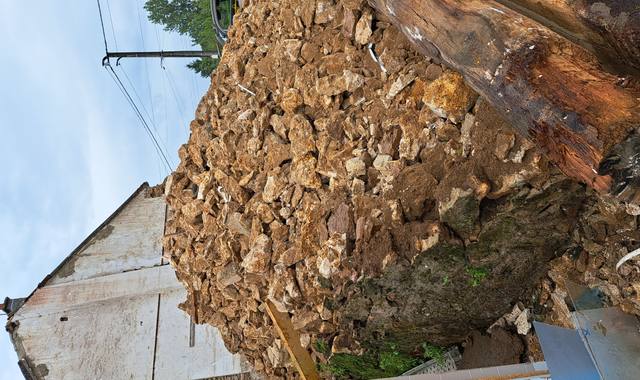 Terre et gravats gravats constitués de pierre meulieres