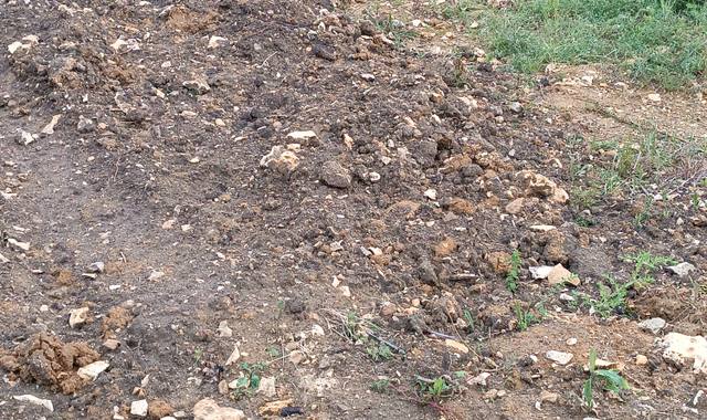 Terre et gravats terre pierre cailloux